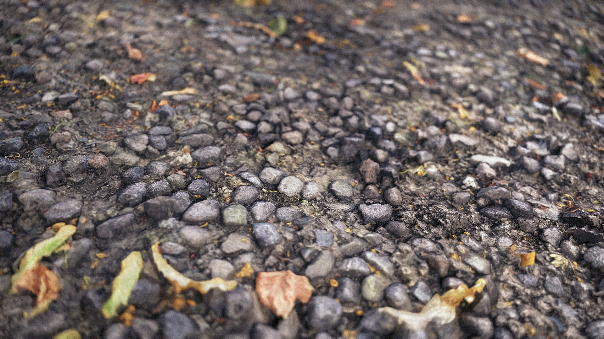 RDry Gravel