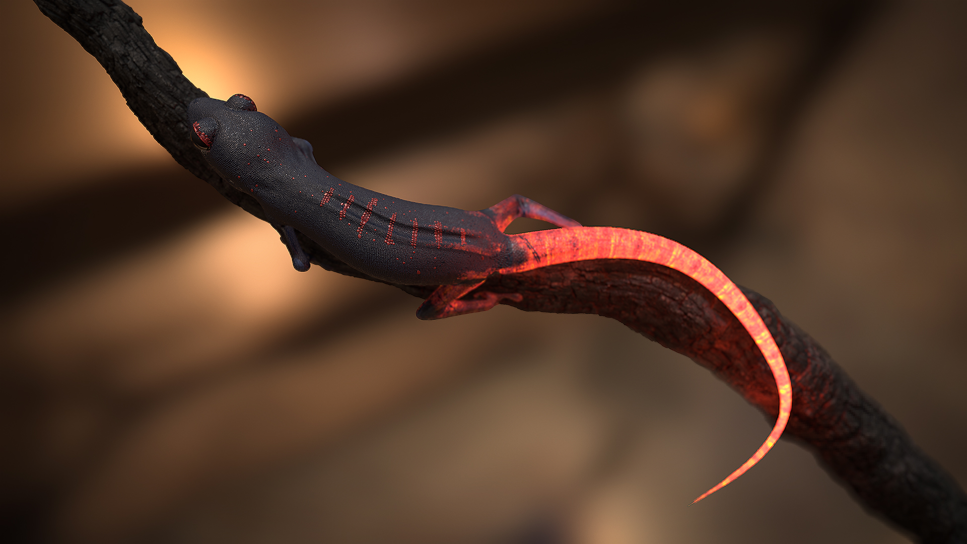 Fire Gecko