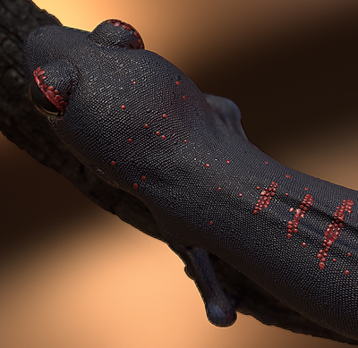 Fire Gecko